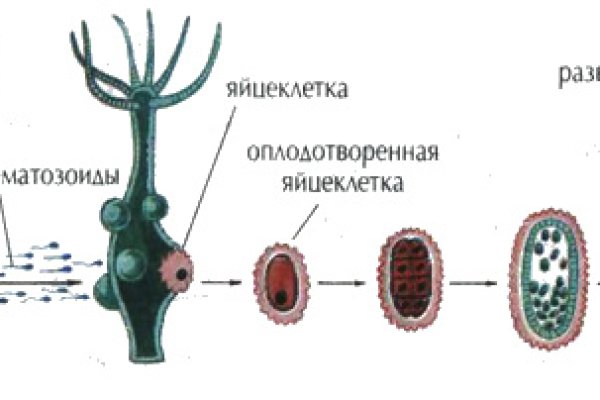 Кракен клирнет ссылка